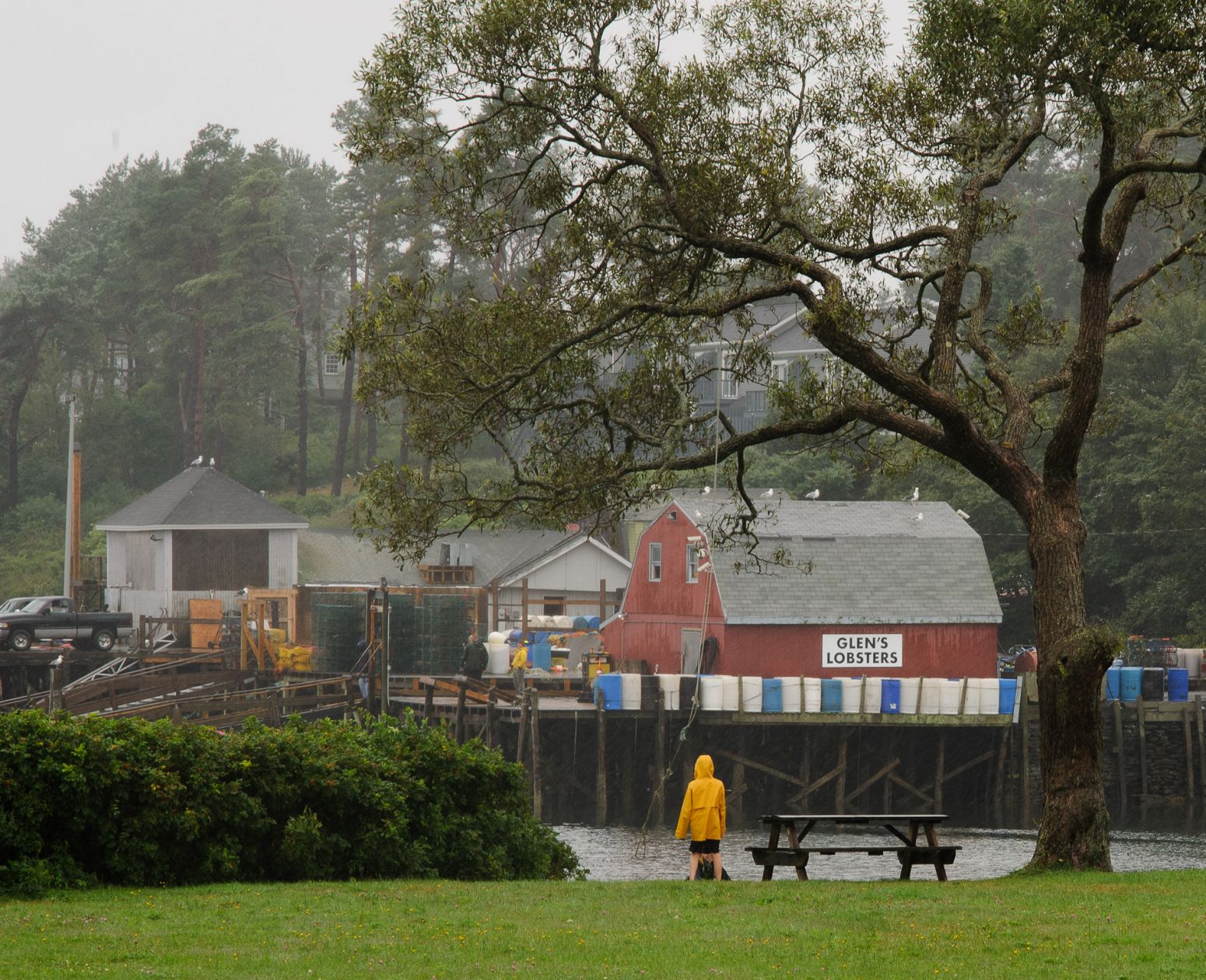 Glen's Lobster, Bailey Island, Maine, USA